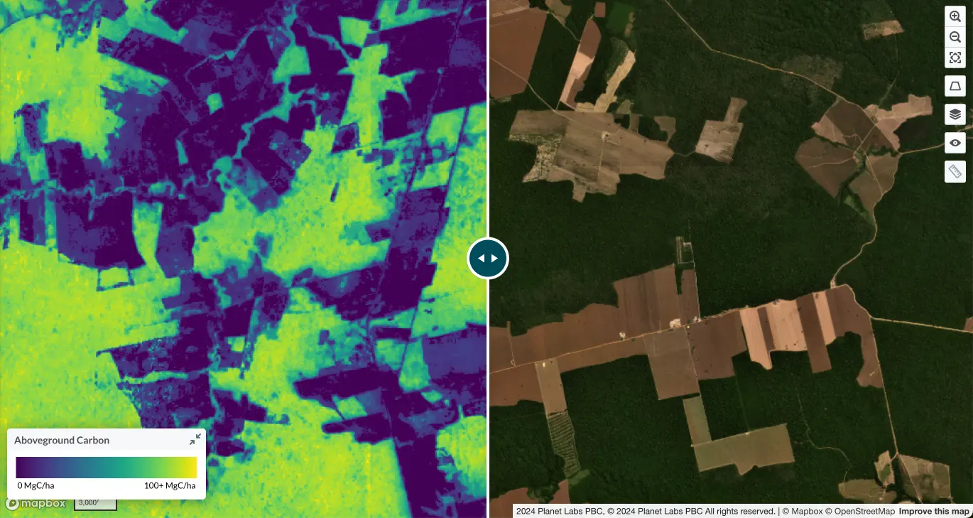 Planet's global Forest Carbon Monitoring product at 3-meter resolution coming to Lens