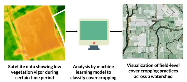 Analysis workflow from data to insight