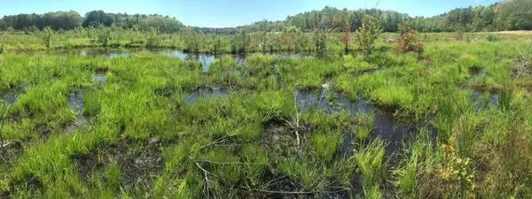Tidmarsh Farms Wildlife Sanctuary