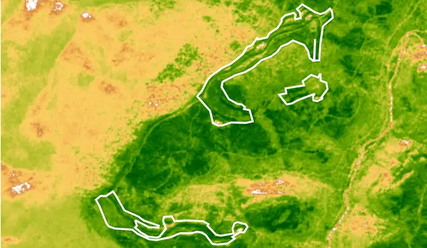 Vegetation vigor satellite image