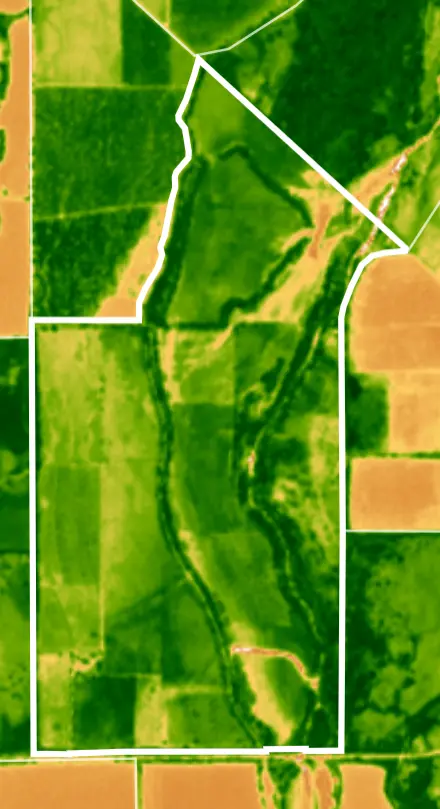 NDVI image