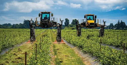 Halls Ferry Farm from Agriculture Capital’s 2018 impact report