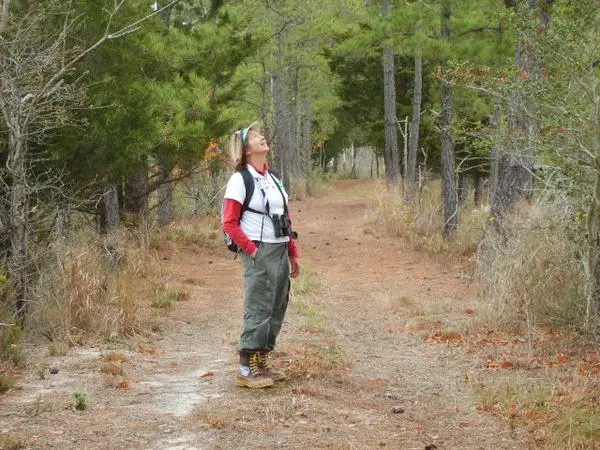 MET staff member in forest