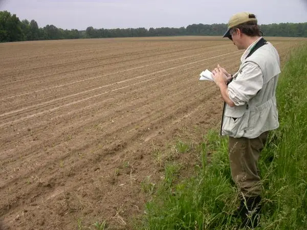 MET staff member in field