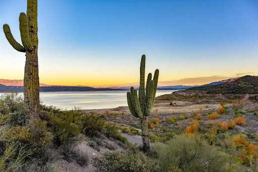 Tonto national forest