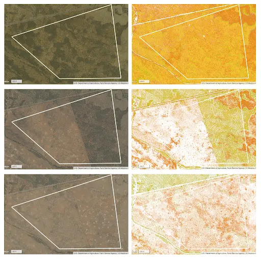 Woolhouse site NDVI
