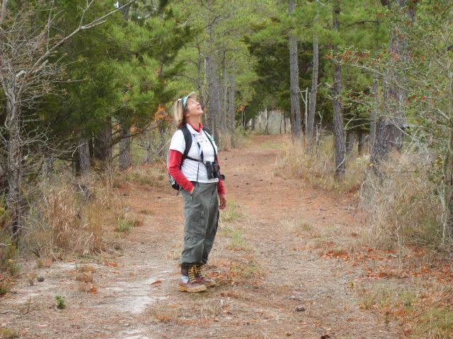 How Lens saves Maryland Environmental Trust time and money