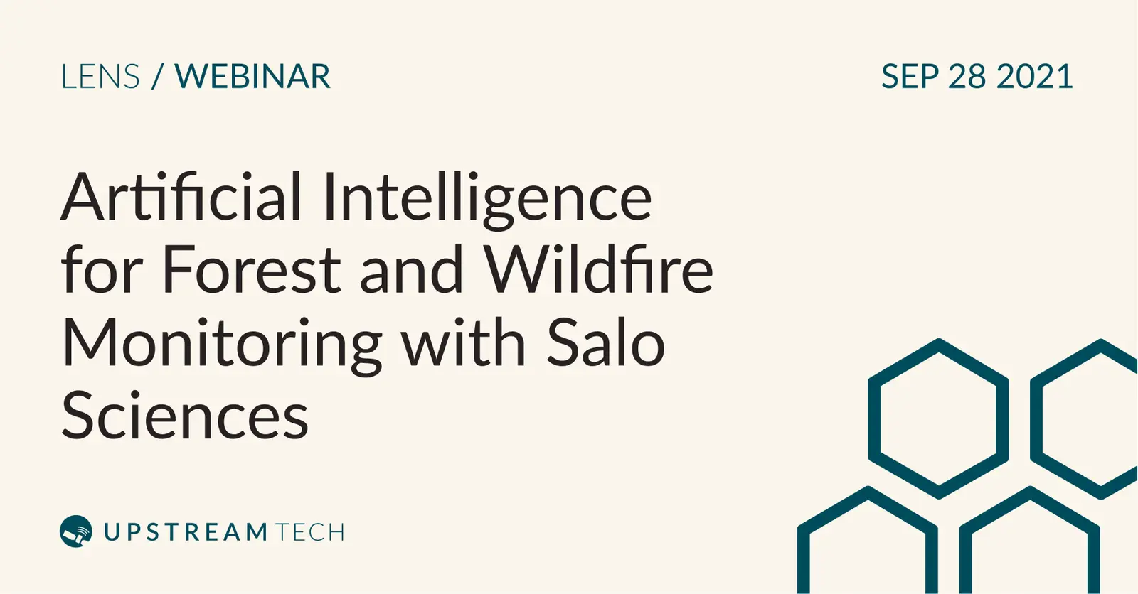 Artificial intelligence for forest and wildfire monitoring with Salo Sciences