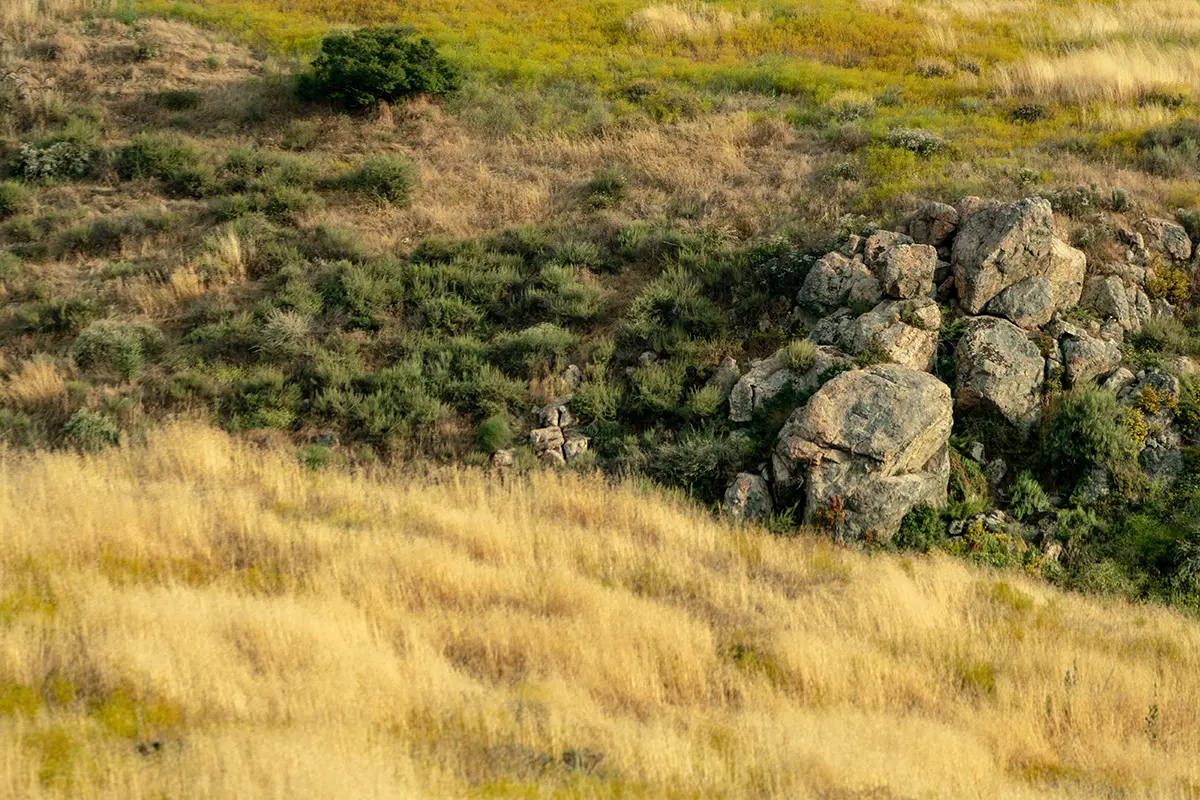 Lens for land trusts
