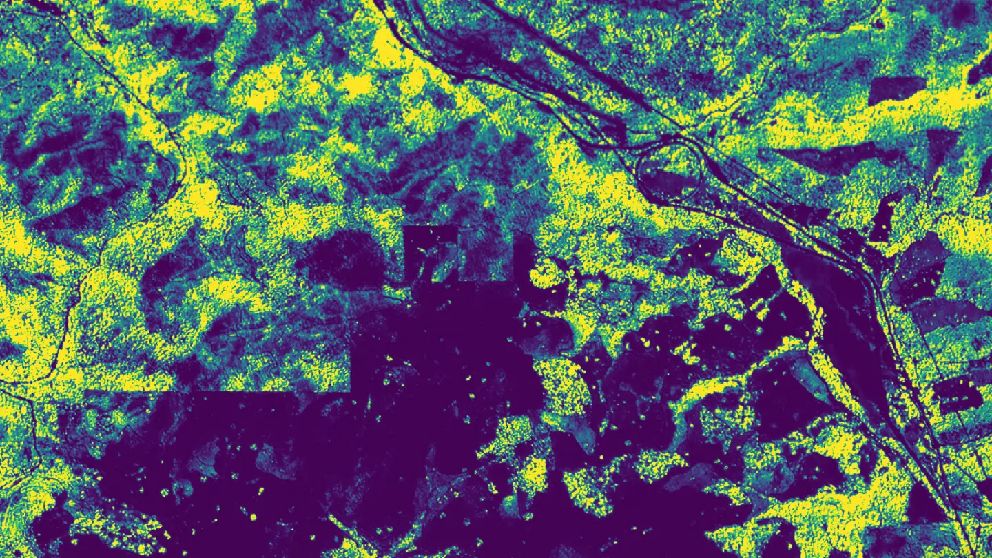 Exploring Planet's Global-scale Forest Carbon Diligence in Lens
