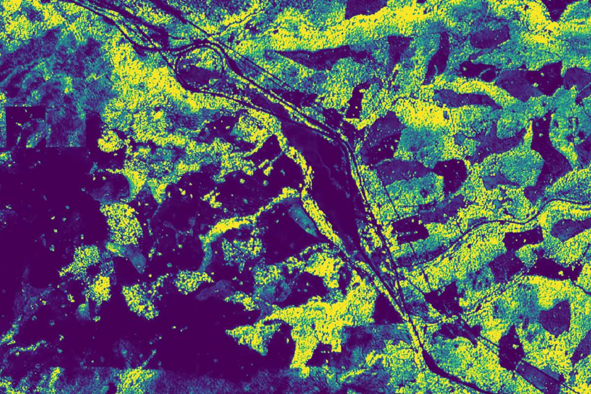 Unlock high-resolution forest carbon insights in Lens with Planet’s 3-meter monitoring data