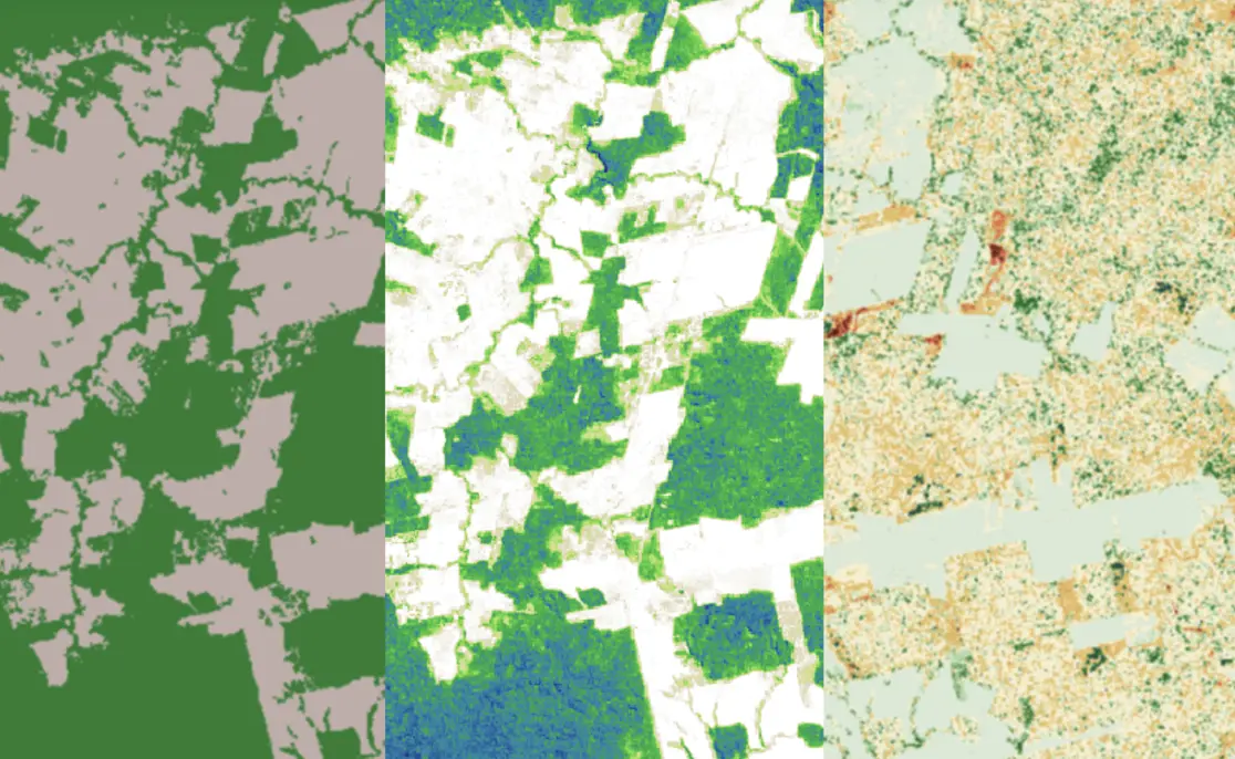 Three maps displayed side-by-side showing Chloris forest carbon geospatial data.The left map uses a two-tone color scheme, primarily green and gray, possibly showing land cover classifications. The middle map combines green, white, and blue colors, suggesting a more detailed classification or vegetation analysis. The right map uses lighter shades, including beige, green, and hints of red, representing a gradient or density-related data visualization.