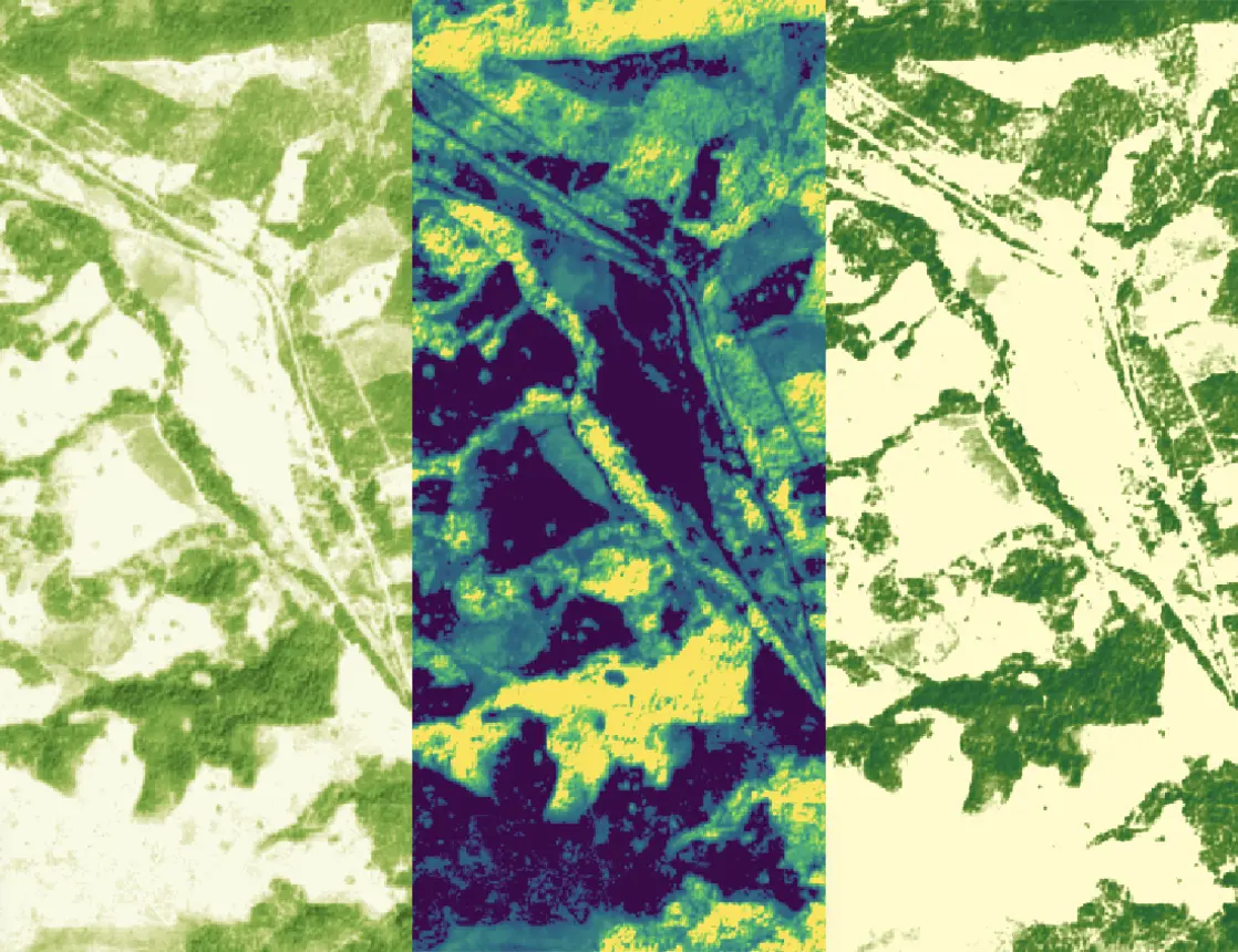 Three side-by-side visualizations of Planet 3m Forest Carbon Monitoring Data. The left panel displays a green and white representation, likely showing vegetation cover or canopy density. The middle panel uses a color gradient with dark blue, yellow, and green, possibly indicating carbon density or another metric. The right panel shows a similar green and white map, highlighting vegetation patterns or classifications across the landscape.