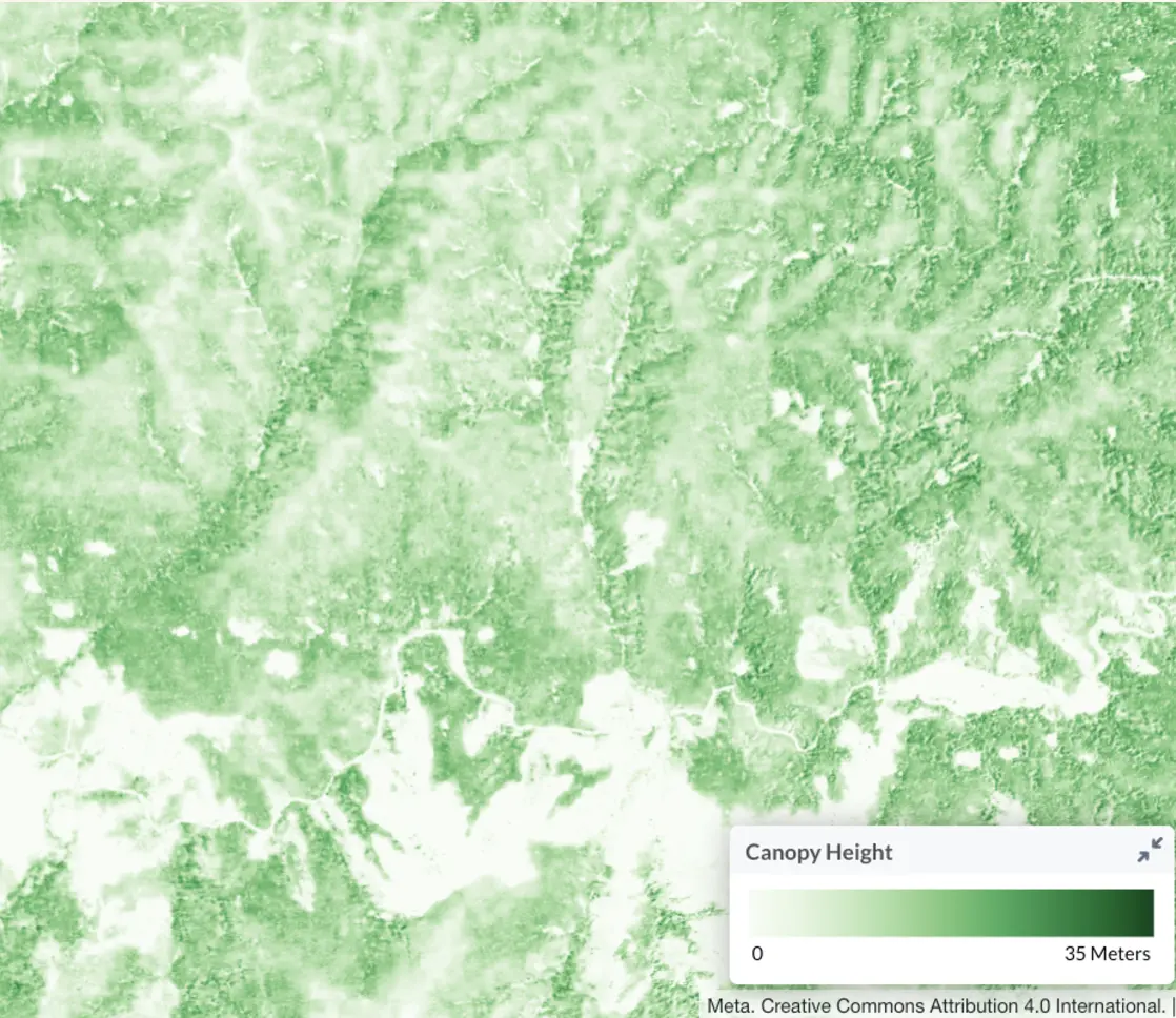 Visualization of data from the Global Canopy Height dataset, showing a green gradient map that represents canopy height across the landscape. The scale at the bottom right indicates canopy height ranges from 0 to 35 meters, with darker green corresponding to taller canopy heights. The map highlights vegetation distribution and height variations.