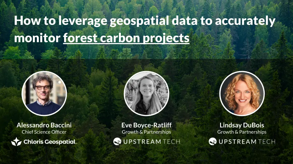 How to leverage geospatial data to accurately monitor forest carbon projects