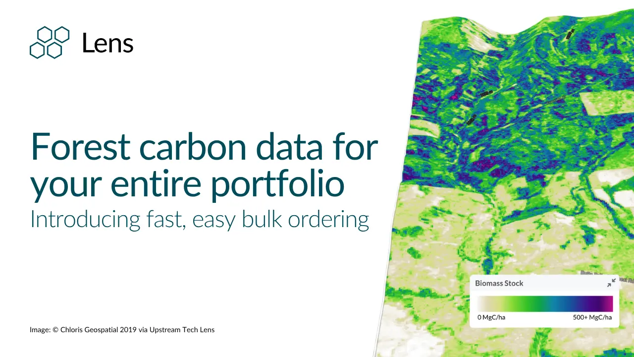 Forest carbon data for your entire Lens portfolio