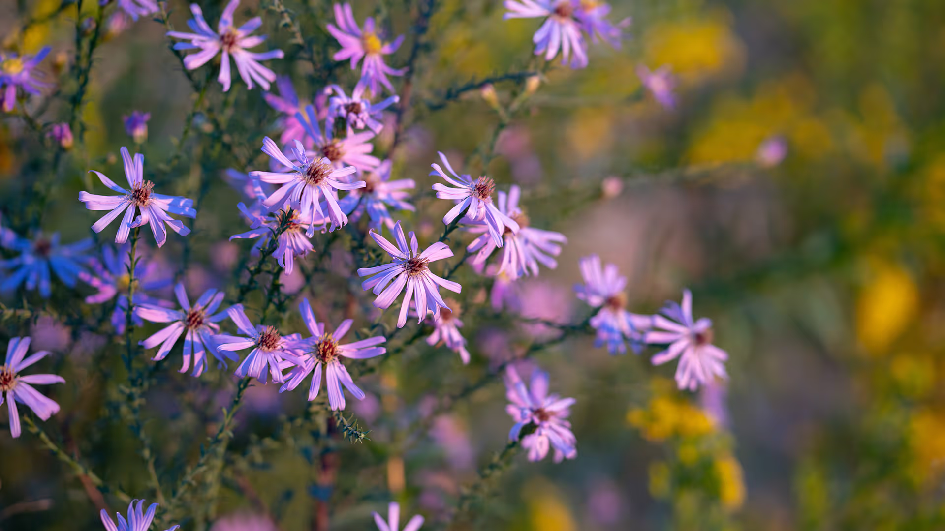 How a land trust saved over $20k and 500 hours