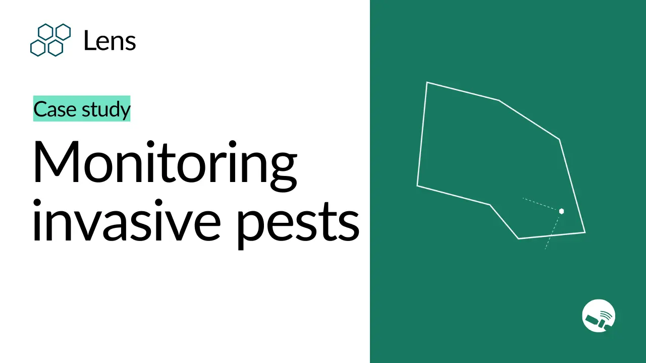 Measuring invasive pest damage in New York