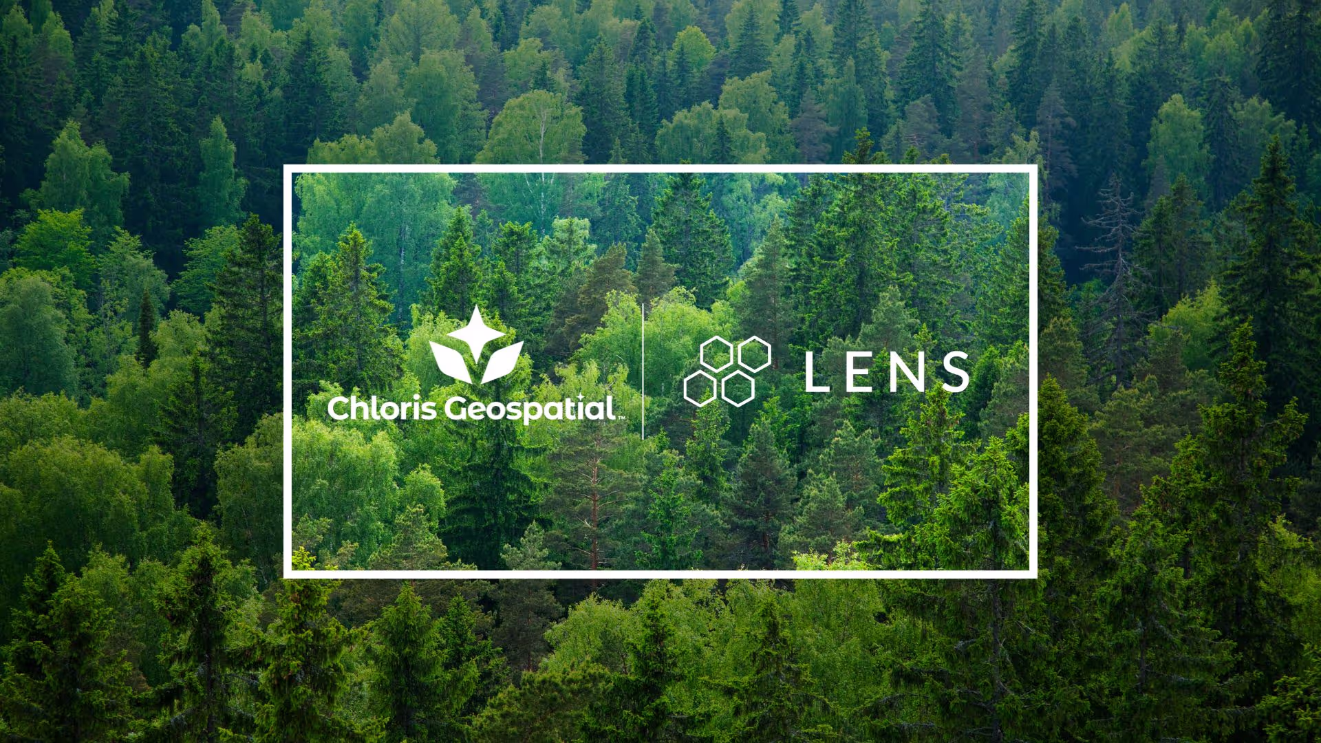 Upstream Tech and Chloris Geospatial partner to accelerate access to Forest Carbon data