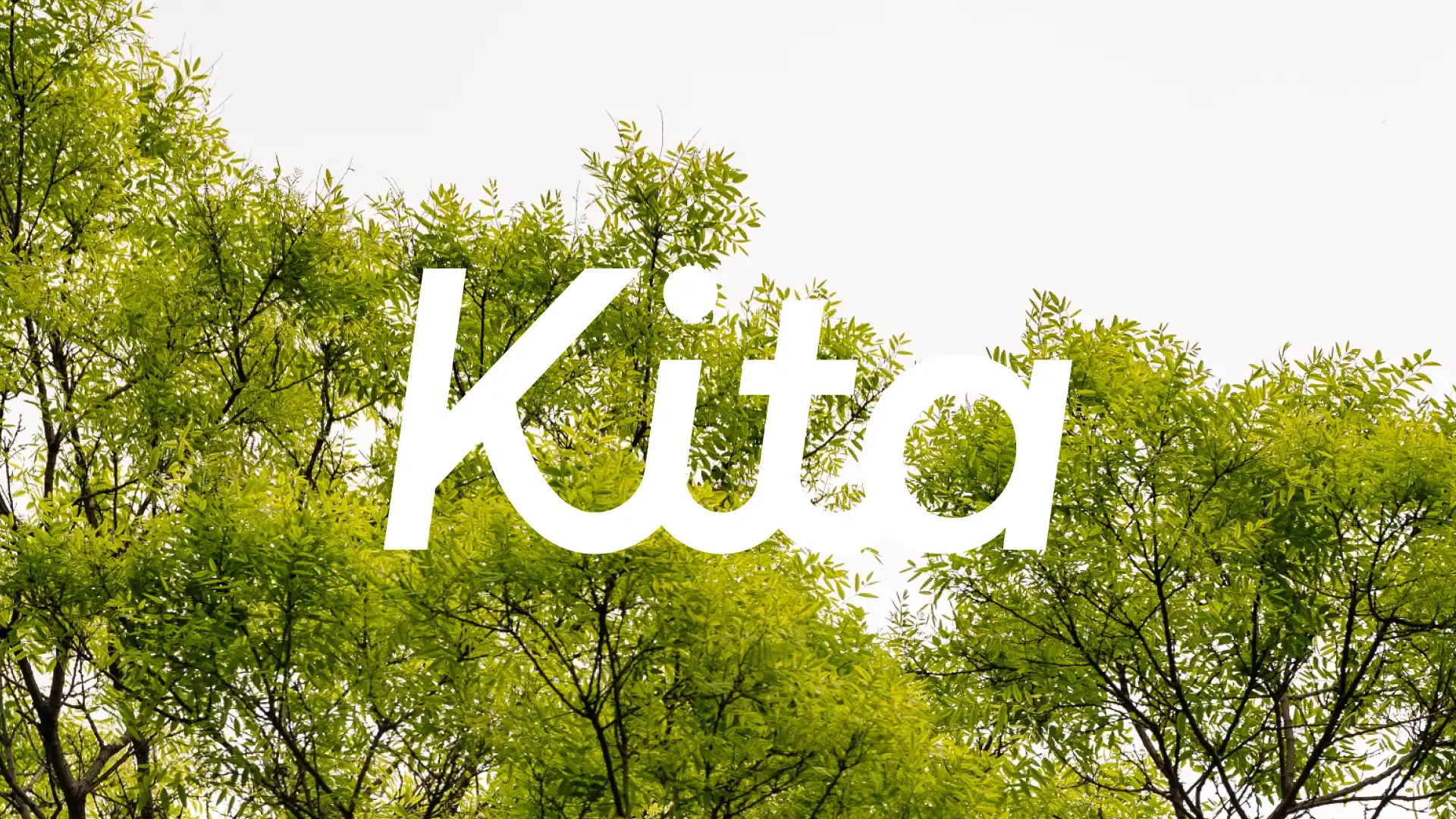 Adding integrity to carbon projects with carbon insurer Kita
