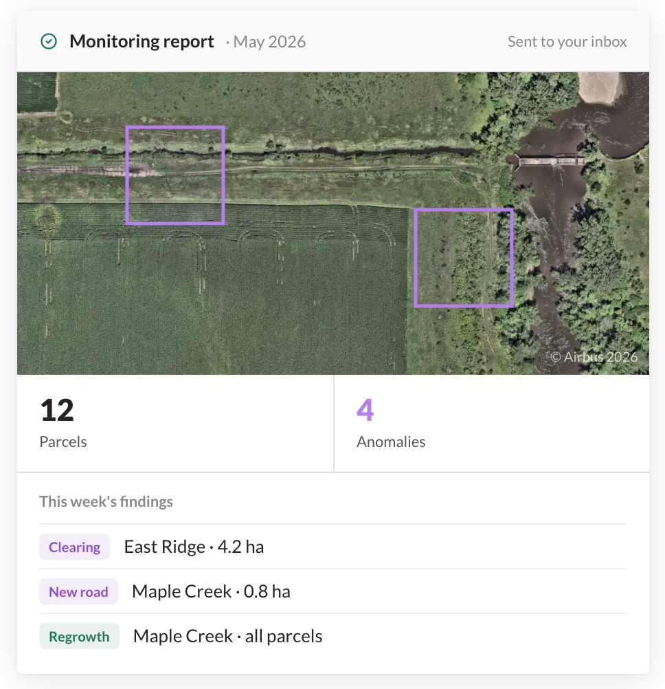Managed monitoring services from Lens