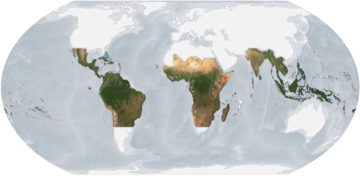 PlanetScope tropical areas imagery through NICFI now available