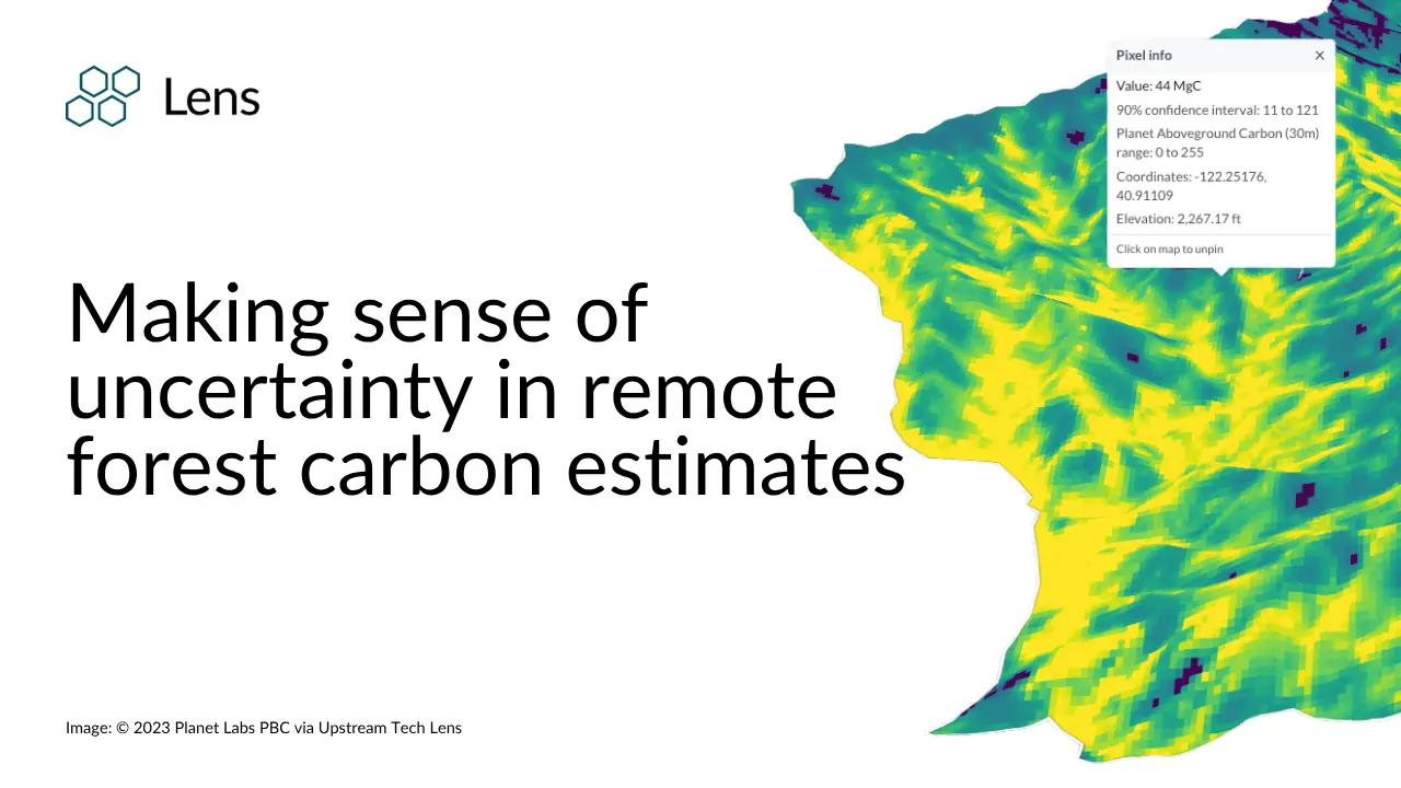 Making sense of uncertainty in remote forest carbon estimates