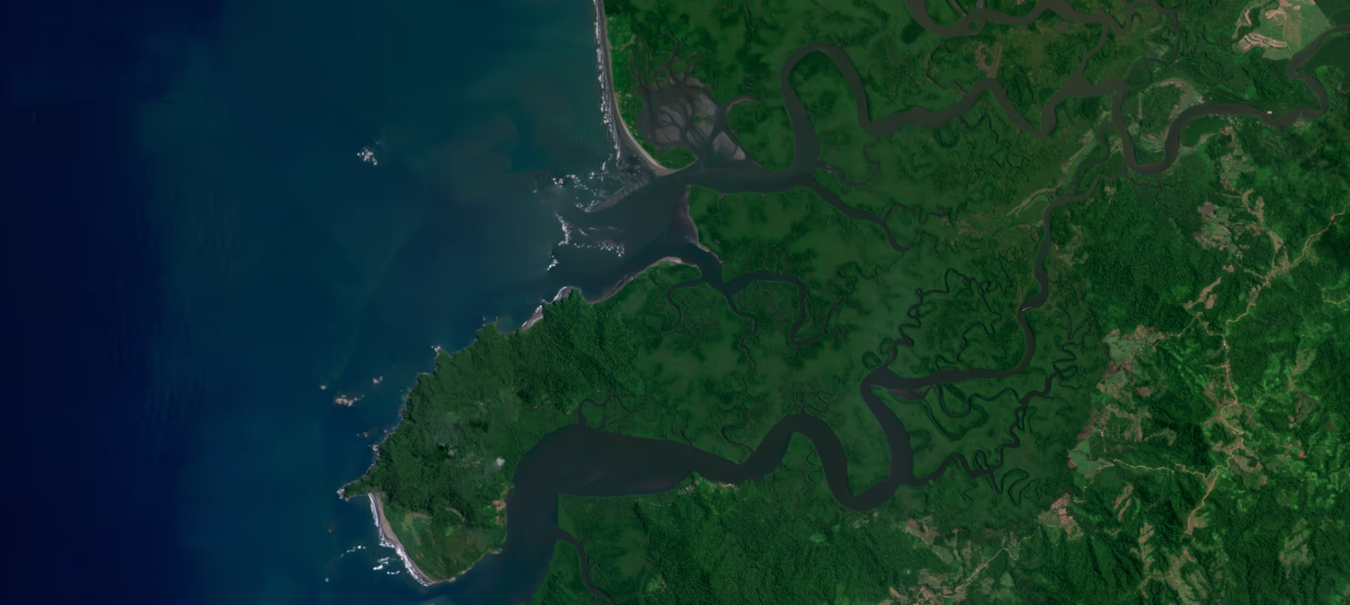 How One Tree Planted uses Lens and Planet imagery to monitor and scale global reforestation programs