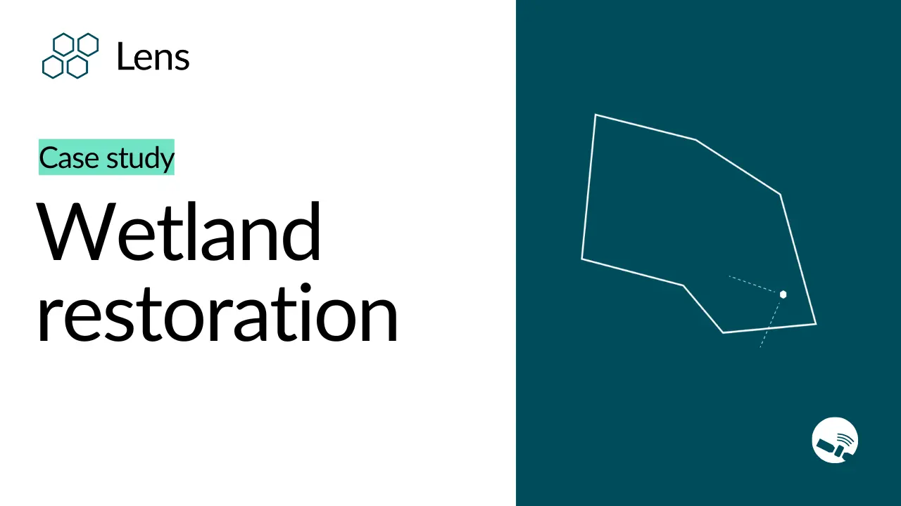Wetland restoration in Massachusetts