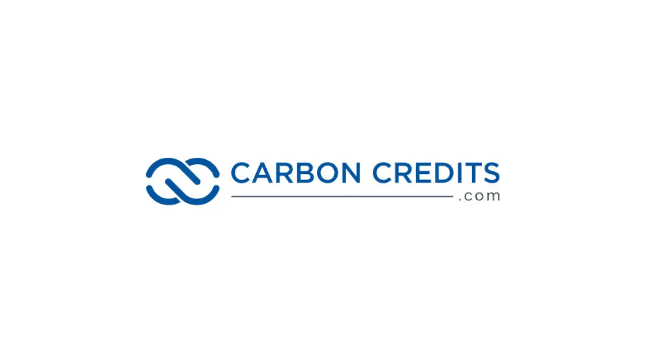 What’s next for forest carbon credits?