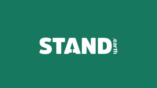 Stand Research Group launches Forest Eye satellite tool to track old-growth logging