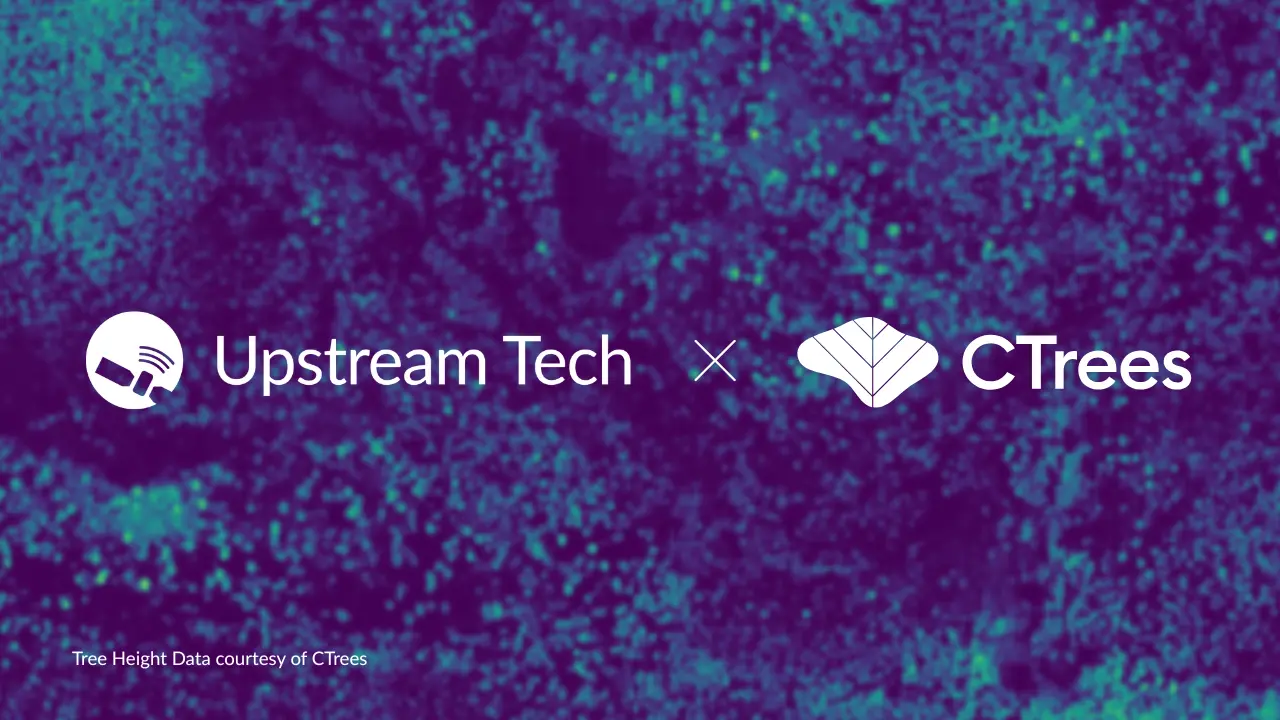 CTrees partnership