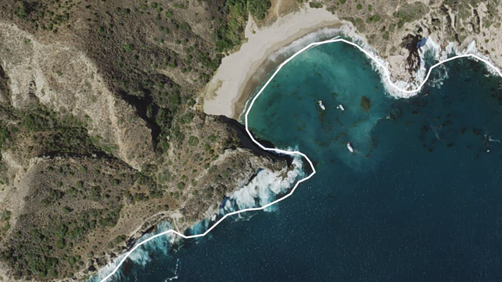 Identifying the ROI of remote monitoring with The Nature Conservancy