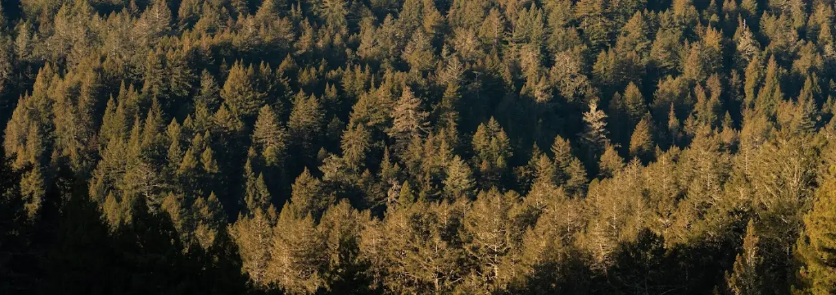 Learn about the history of a landscape in Lens