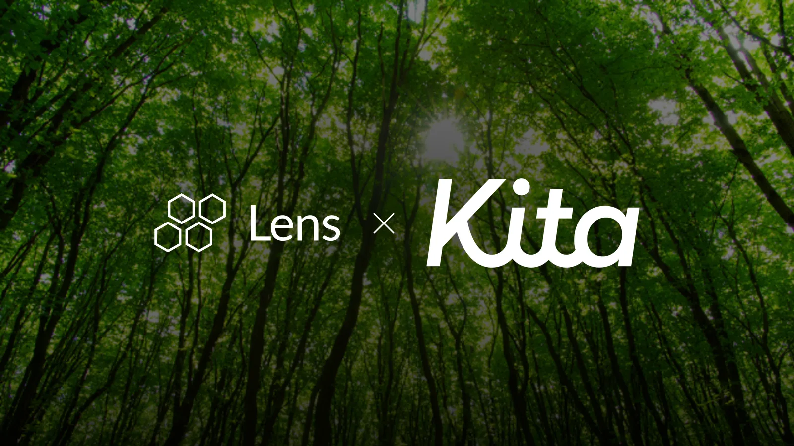 Adding integrity to carbon projects with carbon insurer Kita