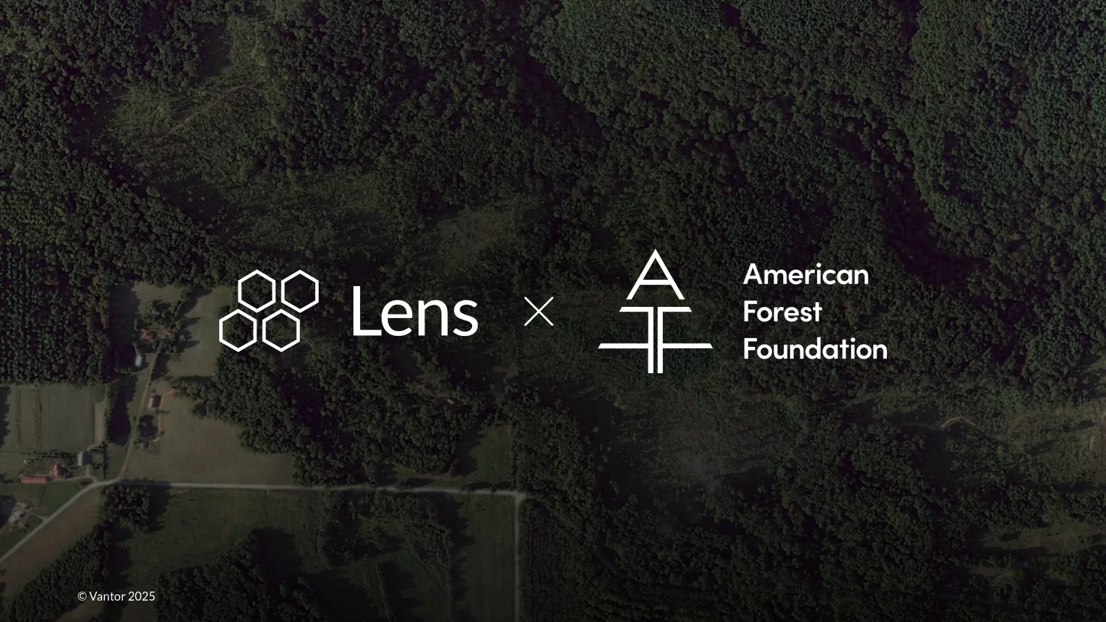 Lens × American Forest Foundation