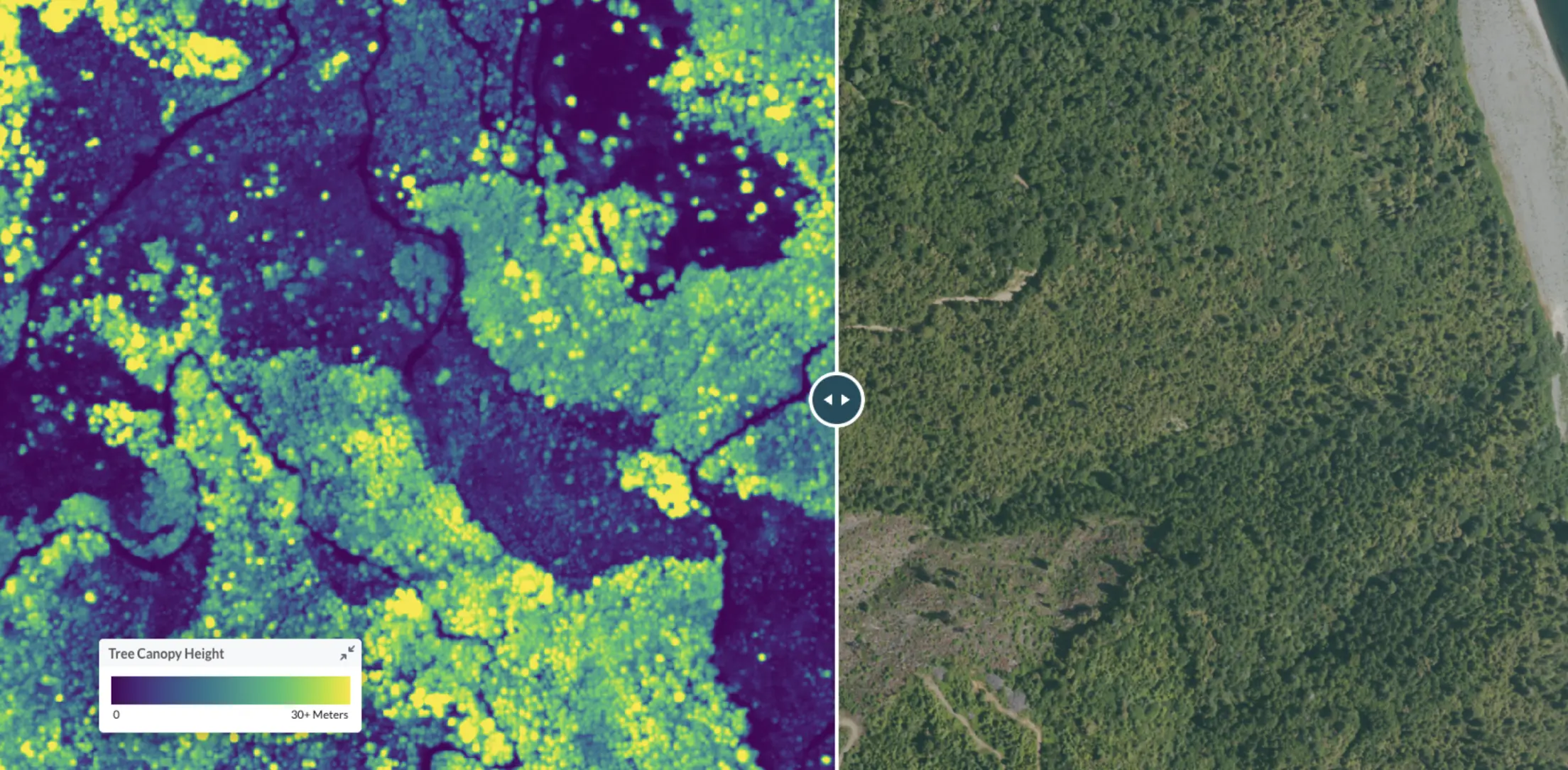 Lens compare mode showing canopy height layer alongside NAIP truecolor imagery