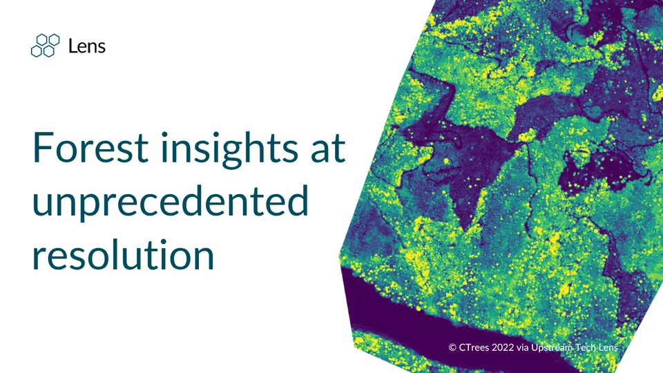 Forest insights at unprecedented resolution with CTrees data in Lens