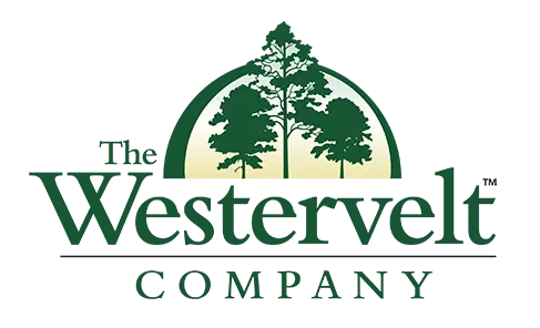 Westervelt