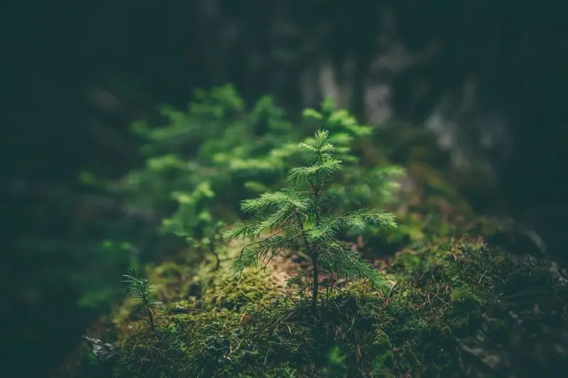 earth day