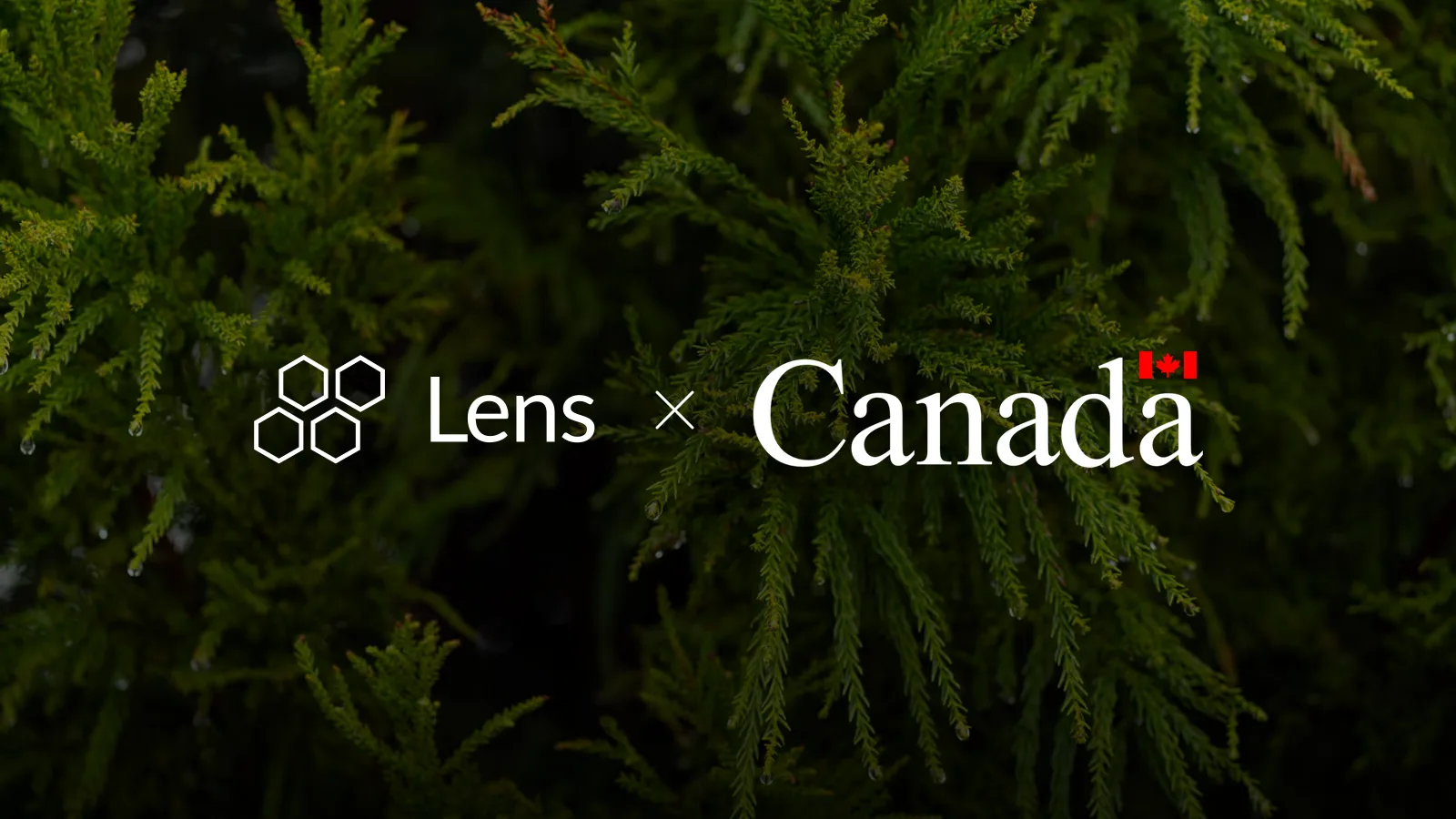 Lens × Government of Canada