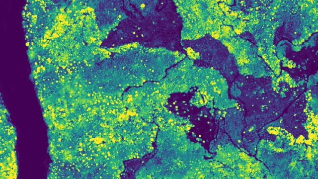 Forest insights at unprecedented resolution with CTrees data in Lens