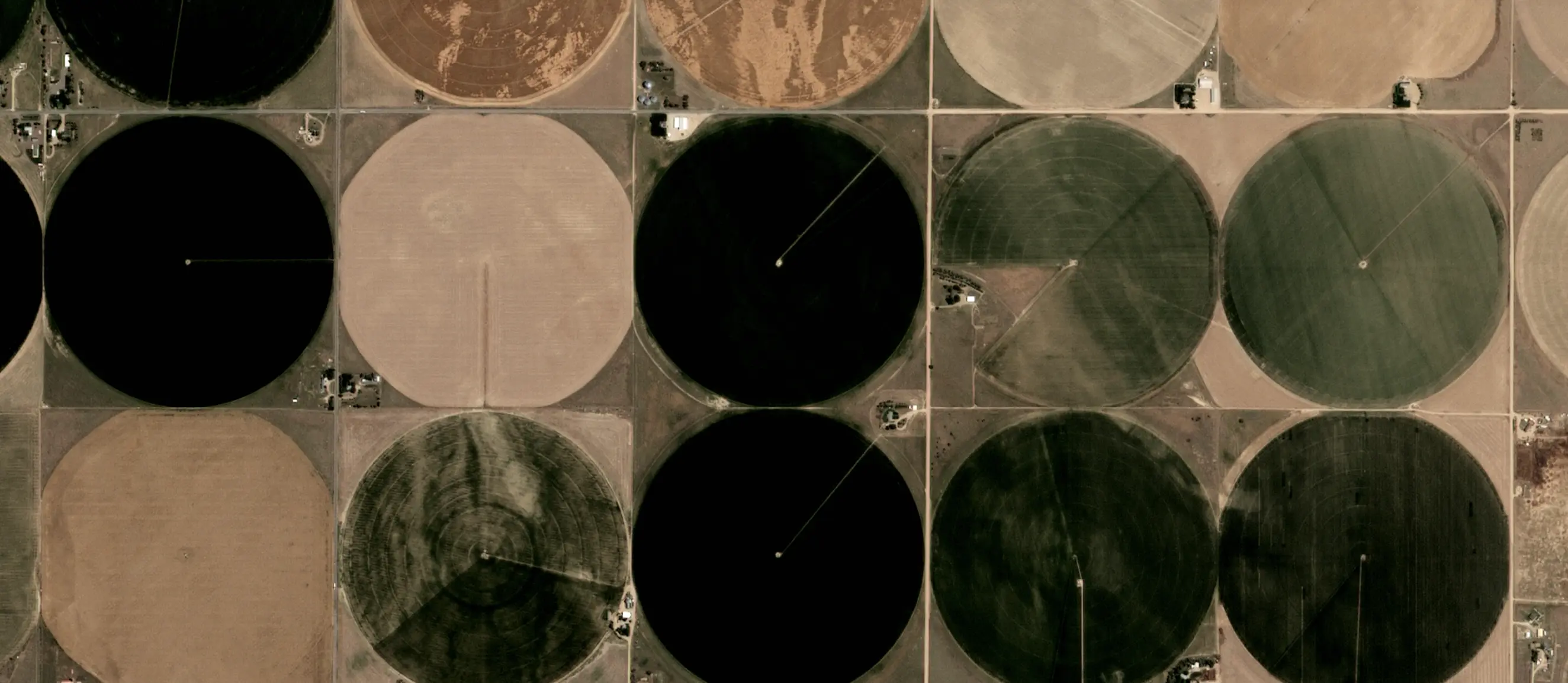 Agriculture