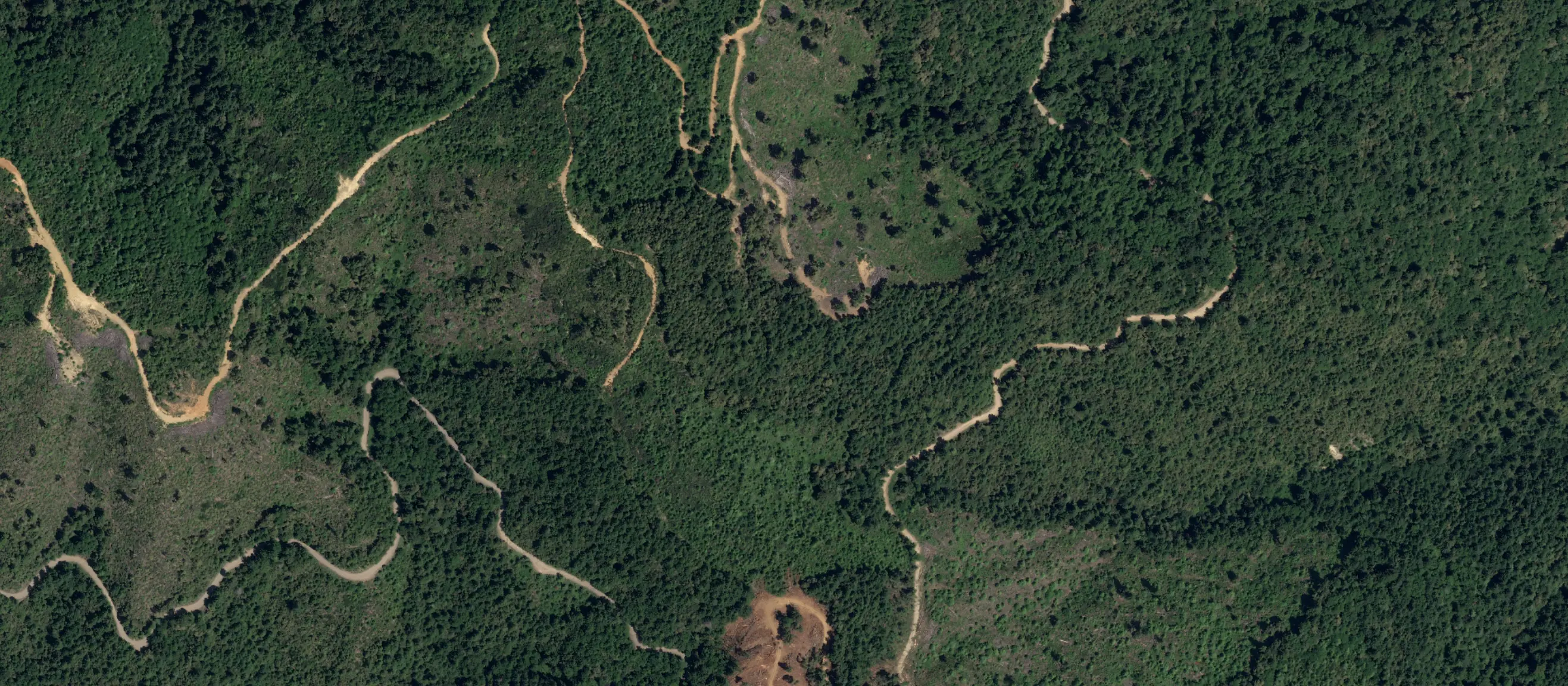 Conservation