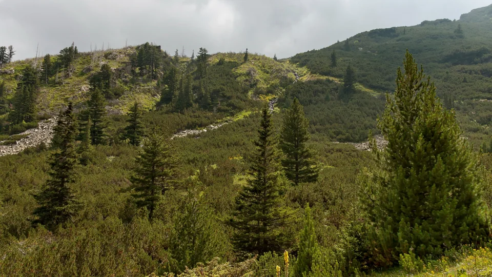 Lens Newsletter: August 2025