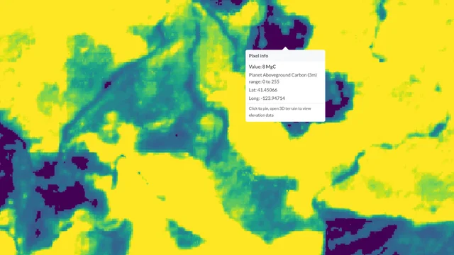 Making sense of uncertainty in remote forest carbon estimates