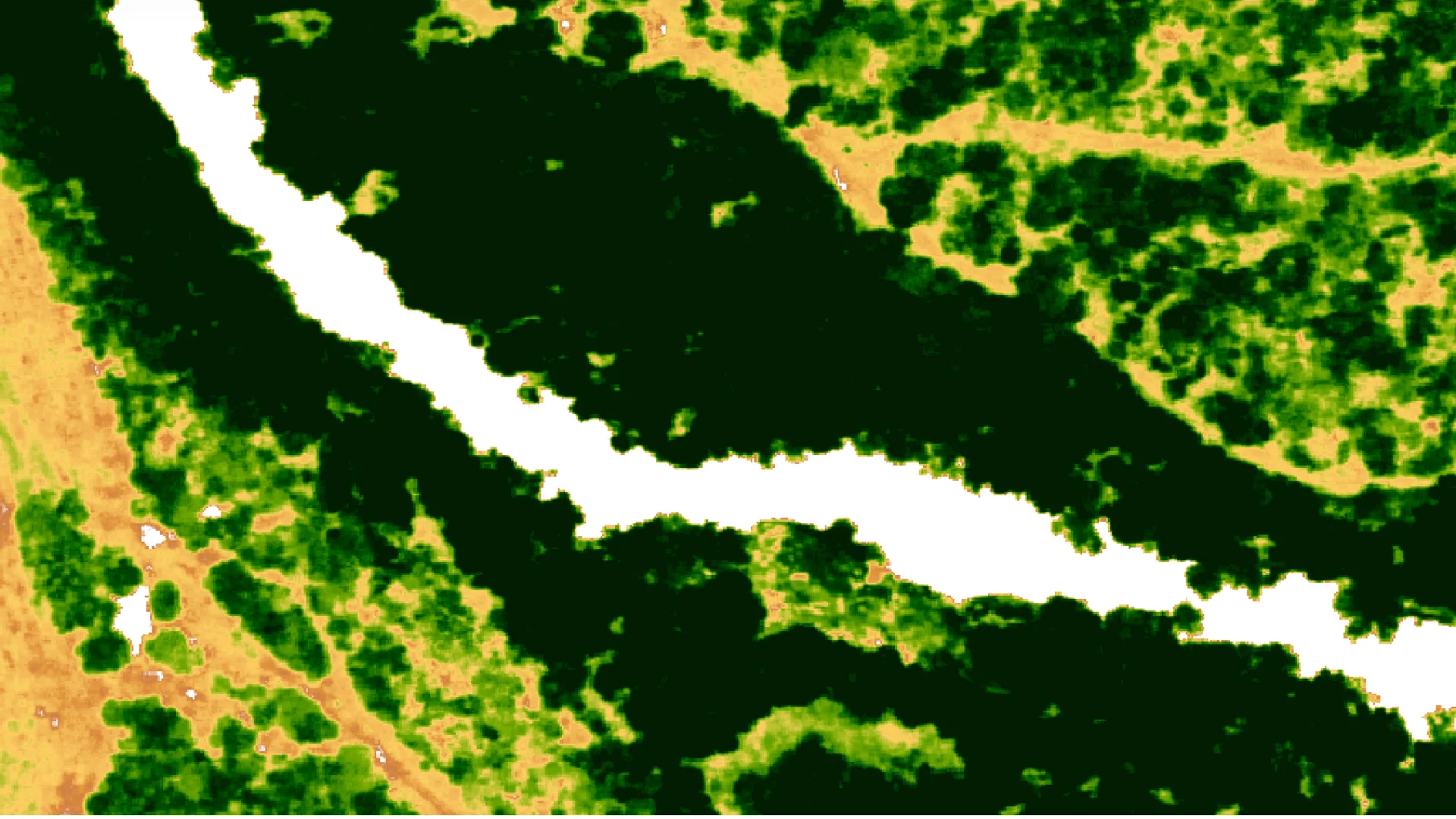 Managing riparian vegetation in Texas