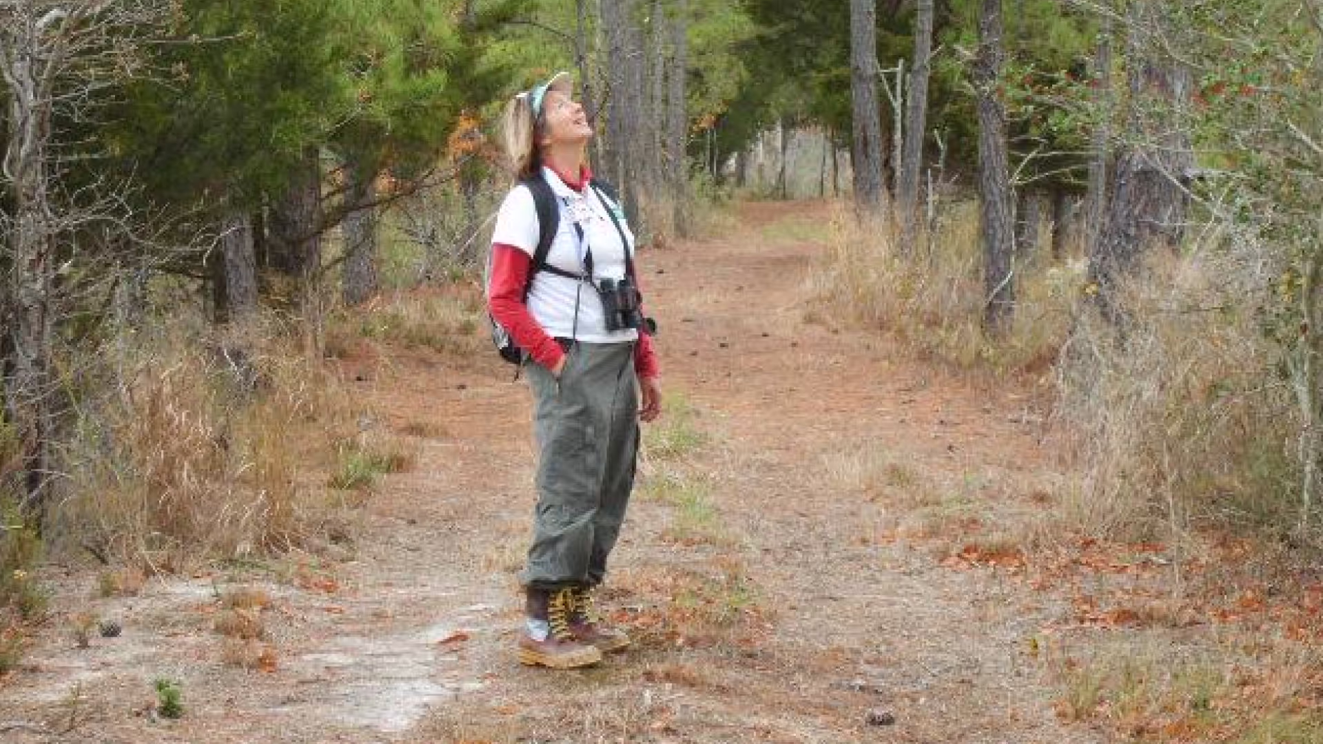 How Lens saves Maryland Environmental Trust time and money