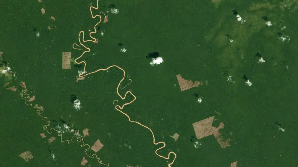 Planet basemaps now available in the Lens Library