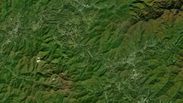 Remote forest and vegetation monitoring for park managers